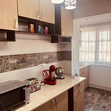 Un Petit Cocon Appartement Craiova
