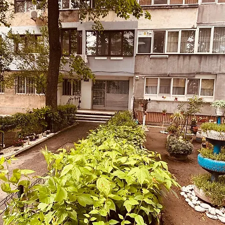 Un Petit Cocon Appartement